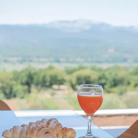 Villa Luxury Dobri Dida *