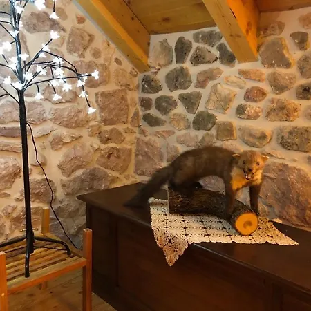 Villa Luxury Dobri Dida