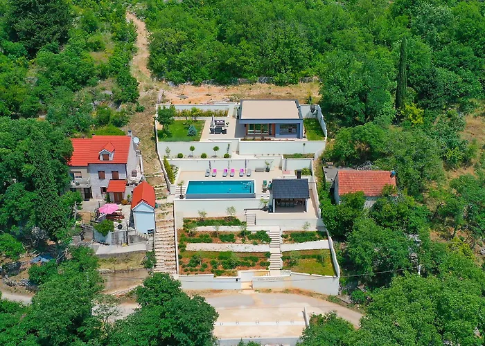Luxury Dobri Dida